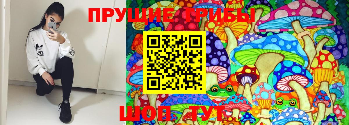 Псилоцибиновые грибы GOLDEN TEACHER Долгопрудный